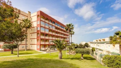 Pis – Torrevieja, Cabo Cervera-Playa la Mata - Vista 5