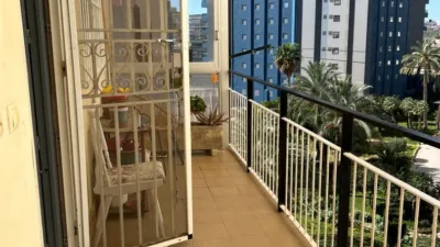 Pis – Benidorm - Més