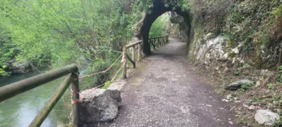 Rustic Finca in Oviedo photo 16