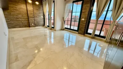 Penthouse on Carrer Viena photo 5