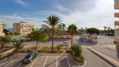 Piso – Torrevieja - Vista 2