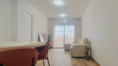 Apartment on Carrer de la Reina Sofía photo 13