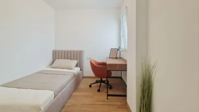 Apartment on Carrer de la Reina Sofía photo 14