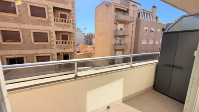 Pis – Torrevieja, el Baix Segura / La Vega Baja - Vista 3