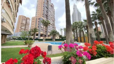 Apartment on Avenida de Altea photo 2