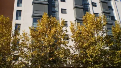 Piso en alquiler en Avenida del Euro - Imagen 16