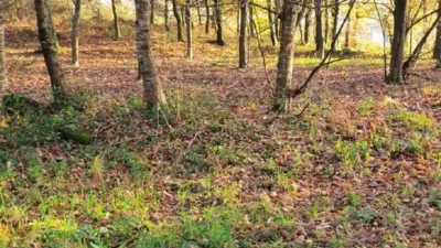 Rustic farm in Escravitude photo 4
