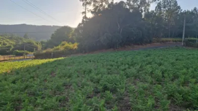 Terreno en venta en Calle Castro Pontevea - Vista 5