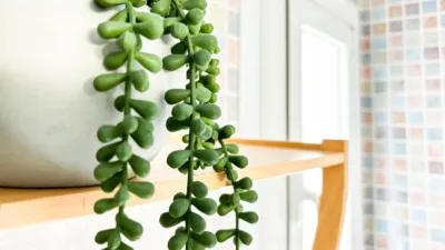 Habitación en alquiler en Calle de Antonio Maura, Pla del Bon Repòs (Distrito Pla-Carolinas. Alicante - Alacant) de 450 €<span>/mes</span>