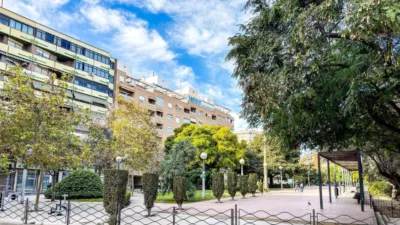 Habitación en alquiler en Calle del Ingeniero Sanchiz Pujalte, Campoamor (Distrito Campoamor-Altozano. Alicante - Alacant) de 390 €<span>/mes</span>