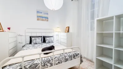 Apartment in Carolinas Bajas photo 17