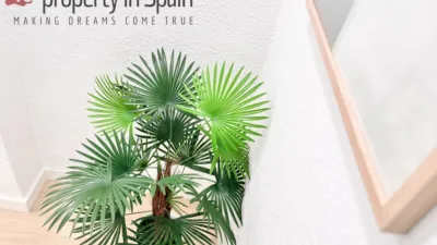 Habitación en alquiler en Avenida de Jijona, Carolinas (Distrito Pla-Carolinas. Alicante - Alacant) de 340 €<span>/mes</span>