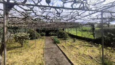 House on Calle Casas Rego photo 8