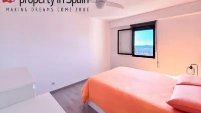 Apartment in Ciudad Elegida photo 21