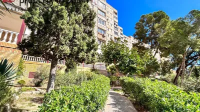 Apartment in Ciudad Elegida photo 43