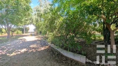 Finca rústica en venta en Carretera CV-50, El Respirall-Santa Maria de Bonaire-El Racó (Alzira) de 415.000 €