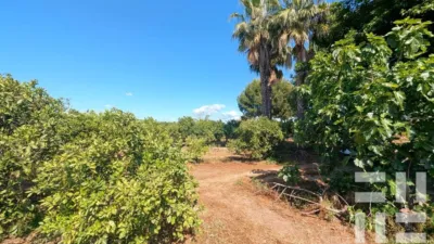 Finca rústica en venta en Carretera CV-50, El Respirall-Santa Maria de Bonaire-El Racó (Alzira) de 415.000 €