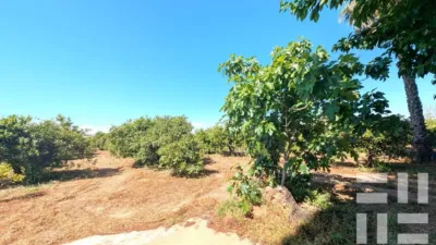 Finca rústica en venta en Carretera CV-50, El Respirall-Santa Maria de Bonaire-El Racó (Alzira) de 415.000 €