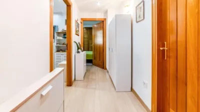 House in Mas Trader Ii photo 17