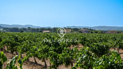 Rustic Finca in Sant Marçal photo 10