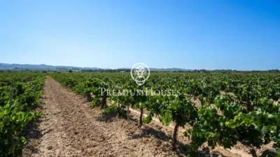 Rustic Finca in Sant Marçal photo 11