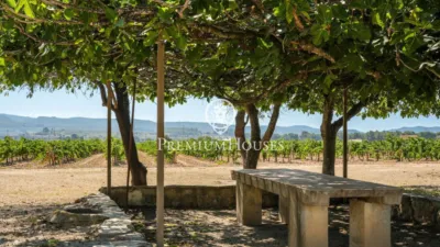 Rustic Finca in Sant Marçal photo 12