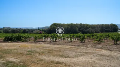 Rustic Finca in Sant Marçal photo 33
