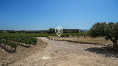 Rustic Finca in Sant Marçal photo 34