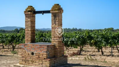 Rustic Finca in Sant Marçal photo 5