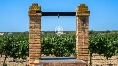 Rustic Finca in Sant Marçal photo 6