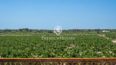 Rustic Finca in Sant Marçal photo 7