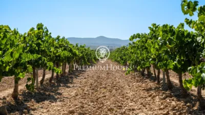Rustic Finca in Sant Marçal photo 8