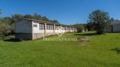 Rustic Finca in Corral D'En Mila photo 35