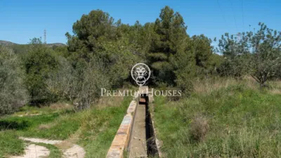 Rustic Finca in Corral D'En Mila photo 37