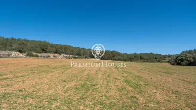 Rustic Finca in Corral D'En Mila photo 4