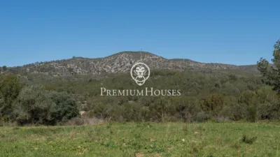 Rustic Finca in Corral D'En Mila photo 5