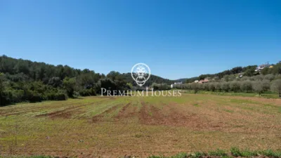 Rustic Finca in Corral D'En Mila photo 6