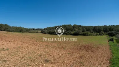 Rustic Finca in Corral D'En Mila photo 7
