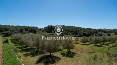 Rustic Finca in Corral D'En Mila photo 8