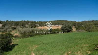 Rustic Finca in Corral D'En Mila photo 9