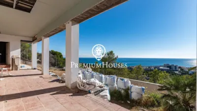 Levantine-style House photo 52