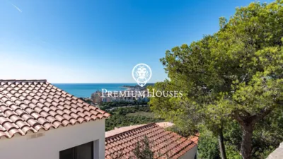 Levantine-style House photo 54