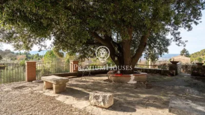 Rustic Finca in Prenafeta photo 69