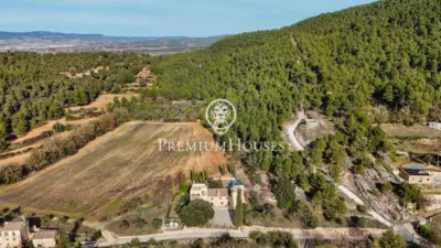 Rustic Finca in Prenafeta photo 75