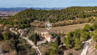 Rustic Finca in Prenafeta photo 78