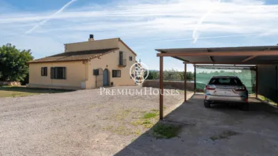 Rustic Finca in Centro photo 3