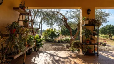 Rustic Finca in Centro photo 40