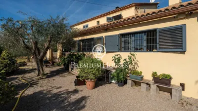 Rustic Finca in Centro photo 43