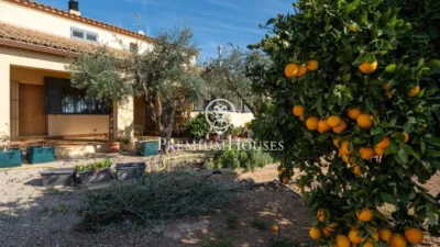 Rustic Finca in Centro photo 44