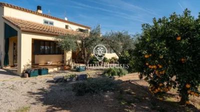 Rustic Finca in Centro photo 45